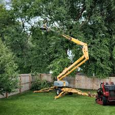Best Lawn Watering Services  in Angwin, CA