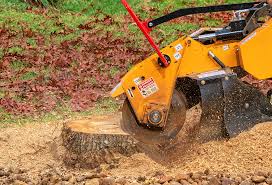 Best Lawn Renovation and Restoration  in Angwin, CA
